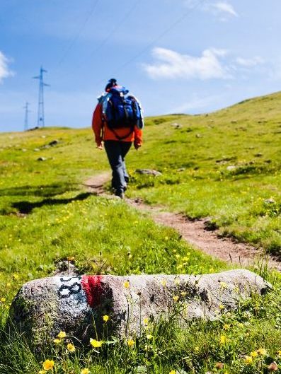 Trekking in vagamon